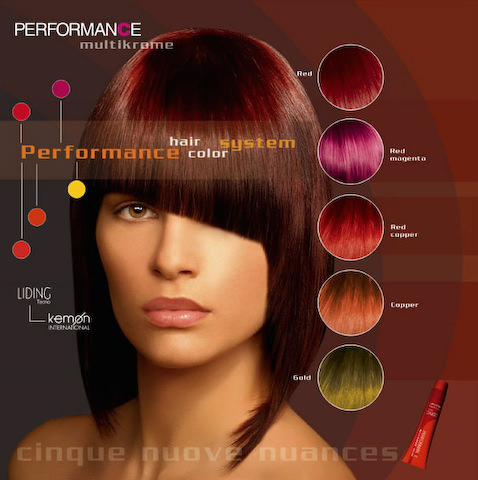 Brochure Hairstyle Color
