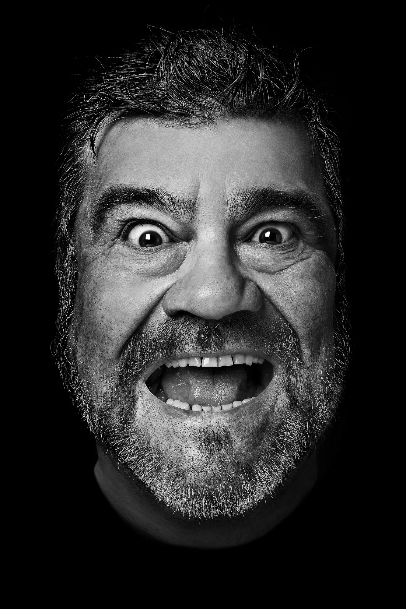 Ritratto Francesco Pannofino